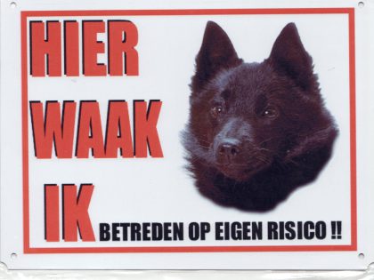 Schipperke