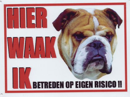 Waakbord Engelse Bulldog bruin/wit 2-0