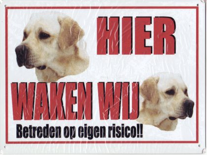 XL waakbord 2 Labradors blond links kijkend-0