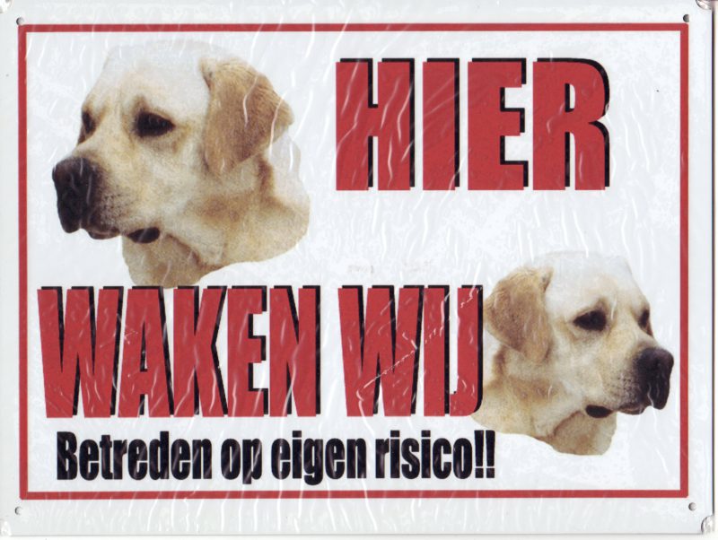 XL waakbord 2 Labradors blond links kijkend-0